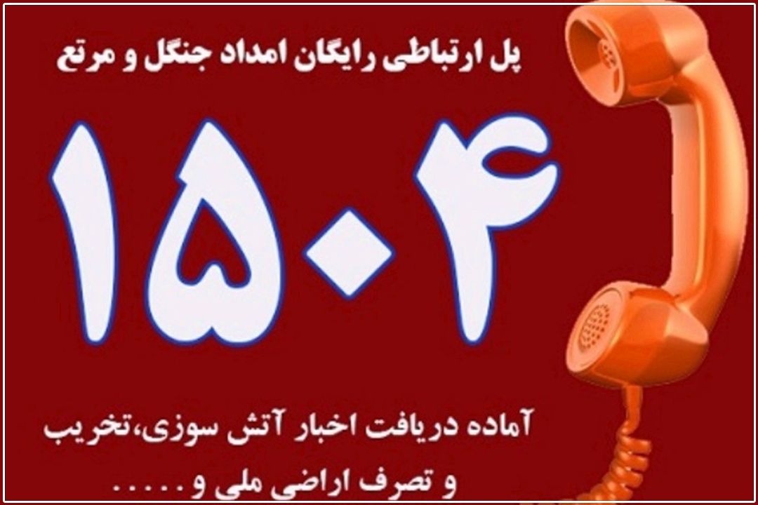 تهرانی‌ها چه مواردی را به 1504 گزارش دهند؟!