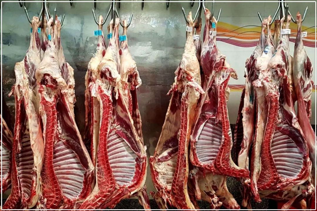 حذفِ گوشت وارداتی از سفره مردم