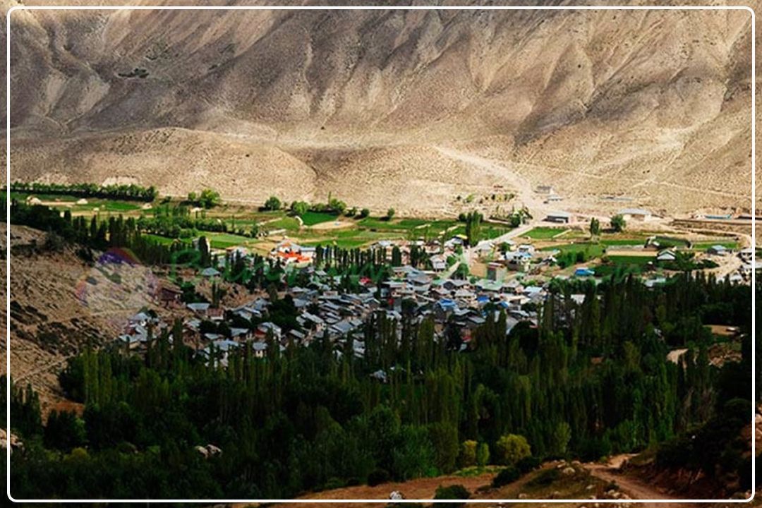 زرشك؛ محصولِ خدادادی و طبیعیِ روستای لزورِ فیروزكوه