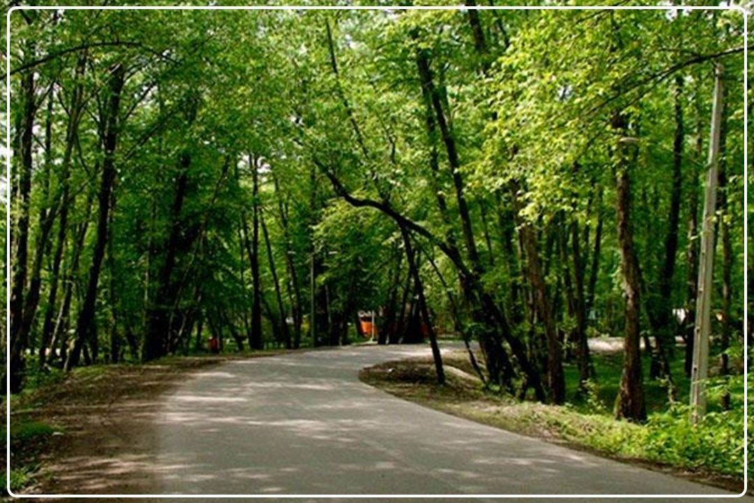بوستان‌های نسیم‌شهر میزبان ایستگاه‌های سلامت سیار و طرح‌های فراگیر شهری شدند