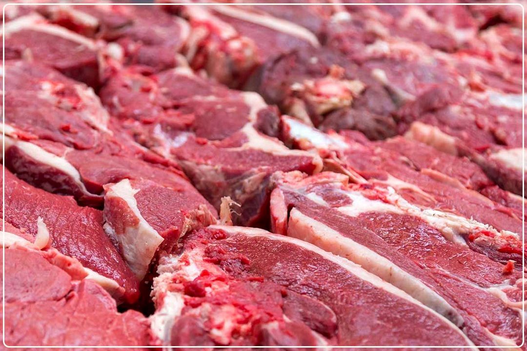 تأمین گوشت كشور پایدار است؛ تأكید گاوداران بر تسهیل نقدینگی برای تقویت تولید