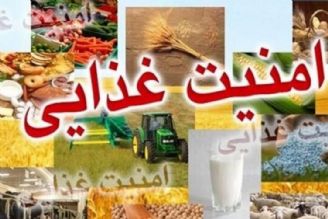 افزایش خوداتكایی محصولات راهبردی لازمه تامین امنیت غذایی