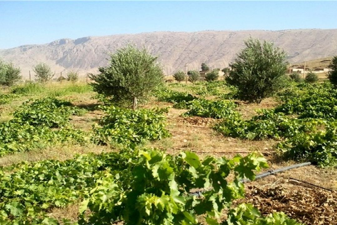 سفر به روستاهای ایران در "رادیو اقتصاد"