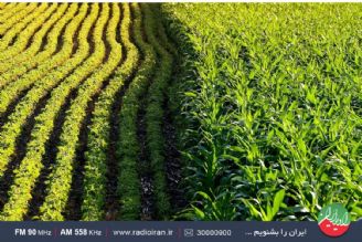 نگاهی به كشاورزی قراردادی در «ایران امروز» رادیو ایران