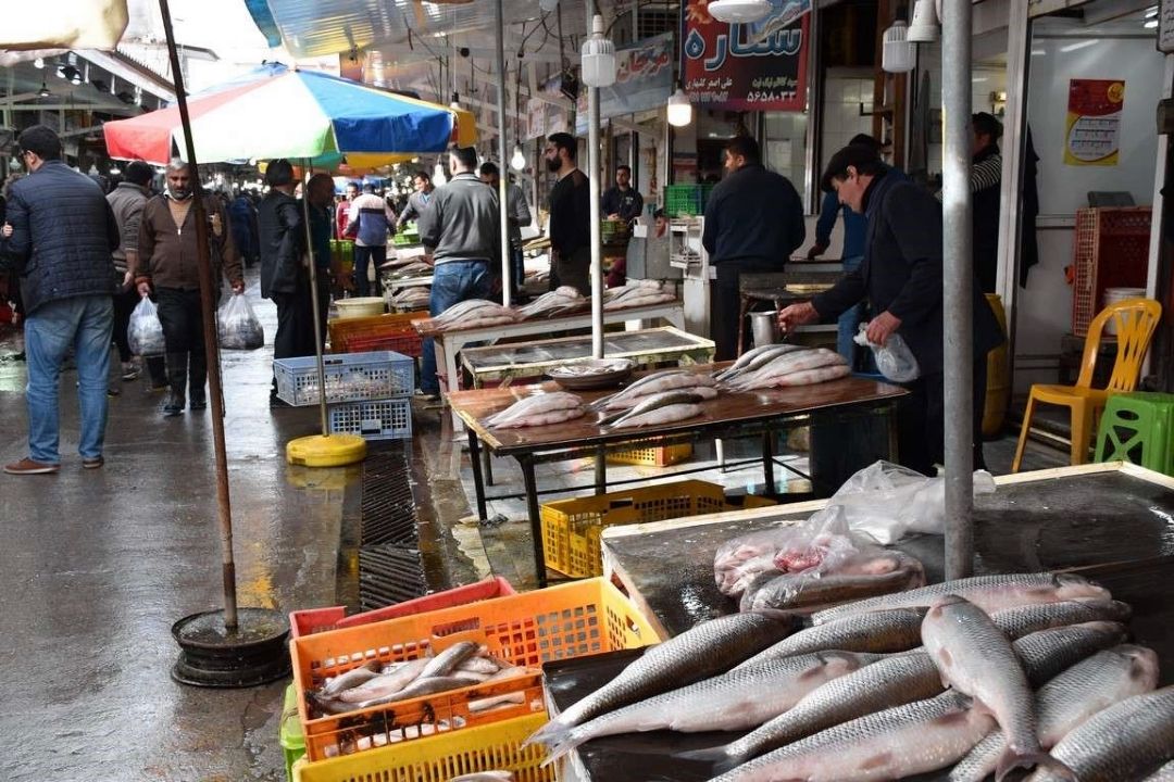 مصرف آبزیان در ایران یك چهارم متوسط سرانه جهانی است