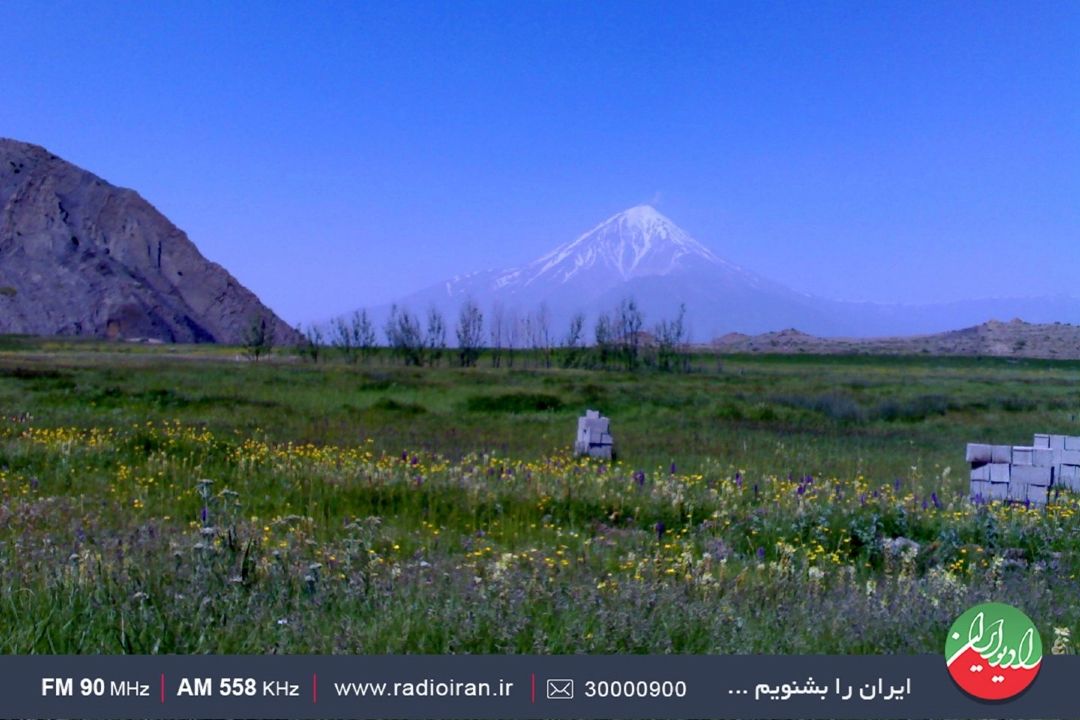 روایتی ازفعالیت جوانان روستایی «راهی به آبادی»