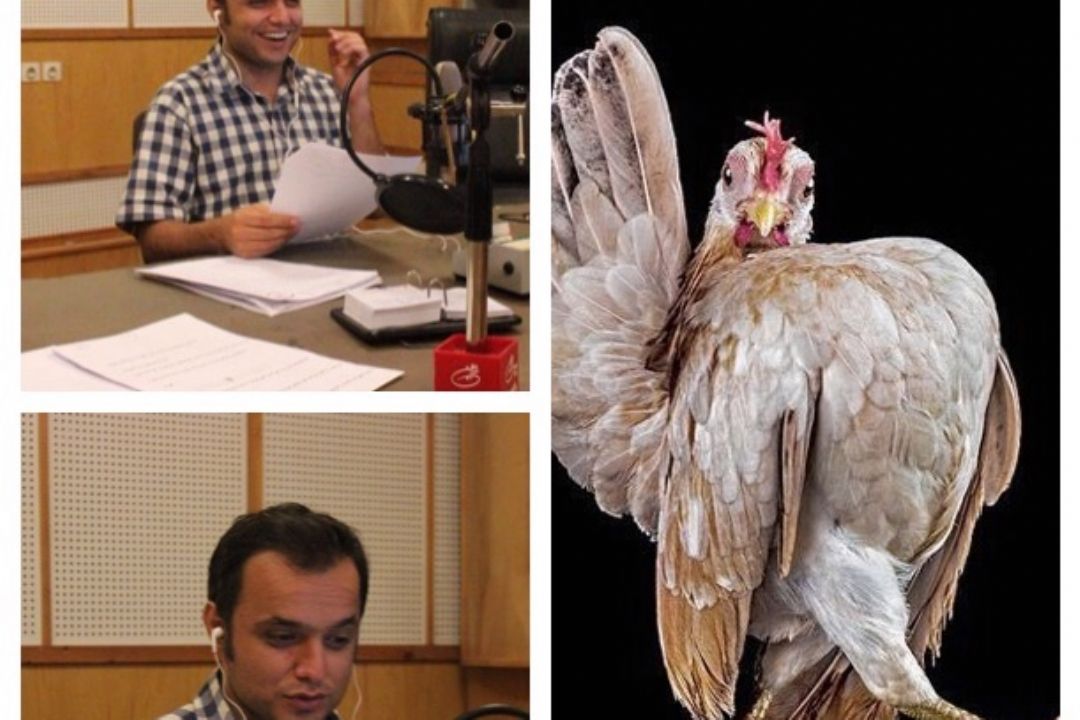 تكلیف بیست و سوم مرداد