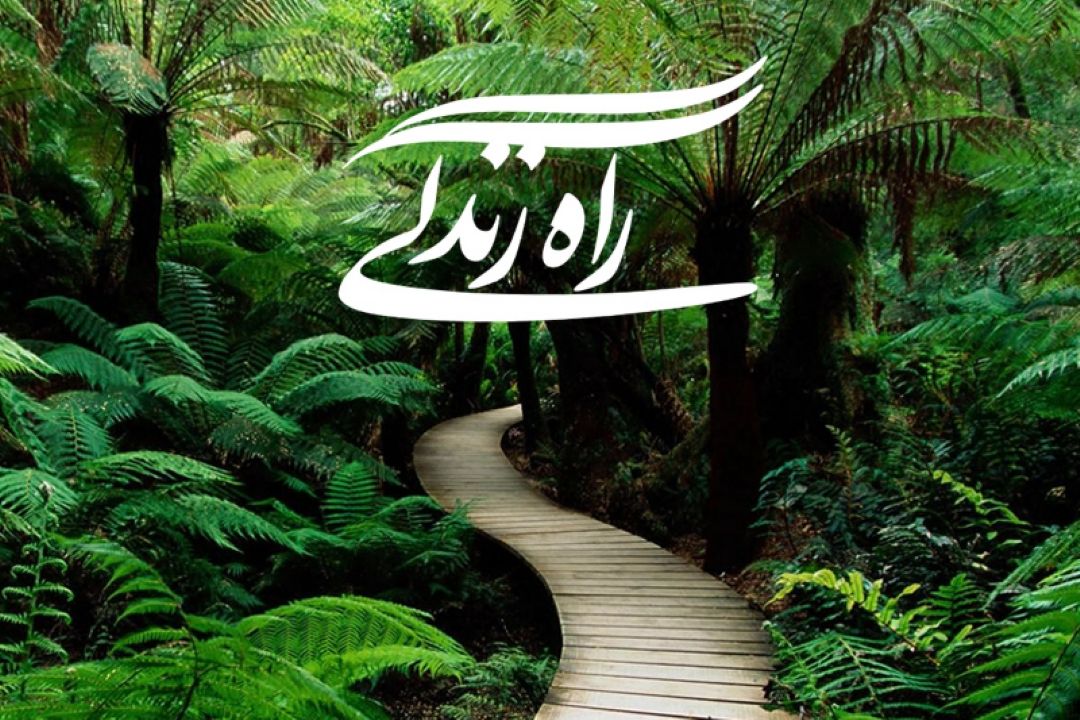 بررسی ابعاد ضرورت بهداشت روان درخانواده 