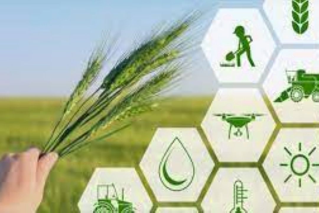 معرفی شركت دانش بنیان در حوزه زراعت