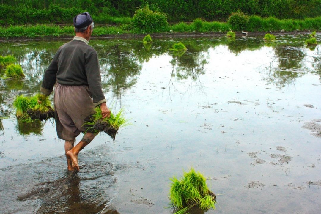 25 درصد روستاهای كشور فاقد سند ملكی هستند