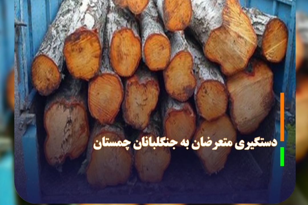 دستگیری متعرضان به جنگلبانان چمستان