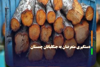 دستگیری متعرضان به جنگلبانان چمستان