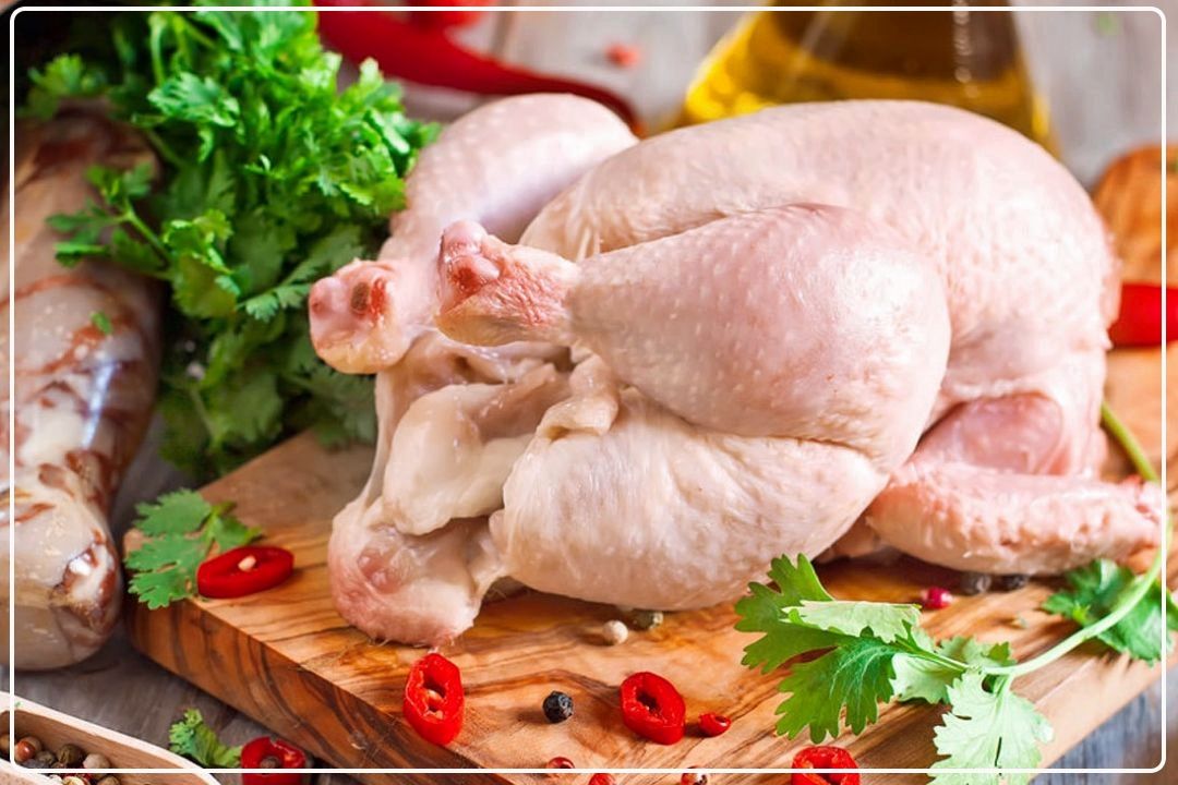 انتظار مرغداران از دولت؛ افزایش قیمت مرغ و اجرای آن از اول مهرماه است+فایل صوتی