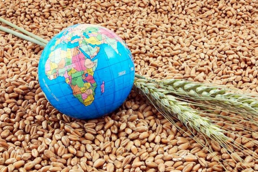 انرژی و امنیت غذایی اساس جنگ و صلح در دنیای امروز