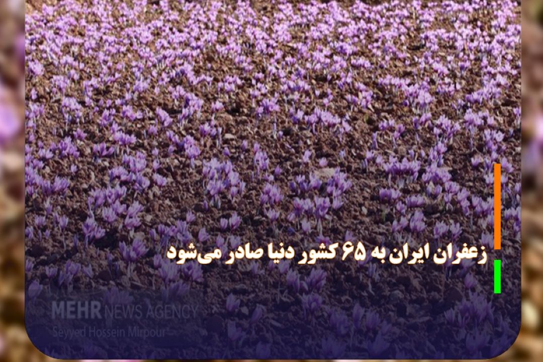 نائب رئیس انجمن زعفرانكاران خراسان جنوبی: زعفران ایران به 65 كشور دنیا صادر می‌شود