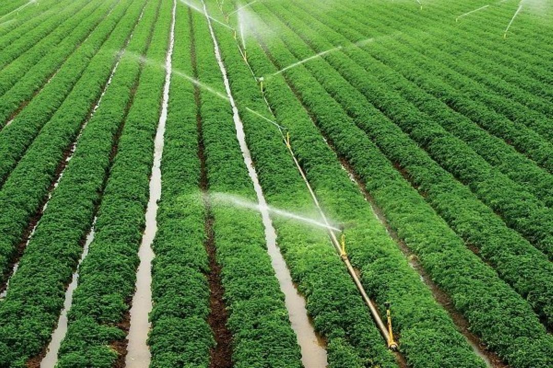 اصلاح الگوی كشت و صنعت در حوزه كشاورزی