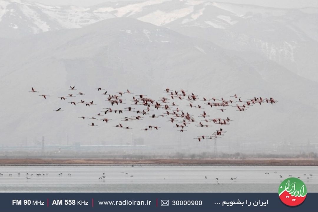 روز ملی درنا، پیوندی محیط زیست و دوستداران گردشگری