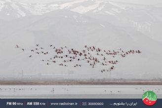 روز ملی درنا، پیوندی محیط زیست و دوستداران گردشگری