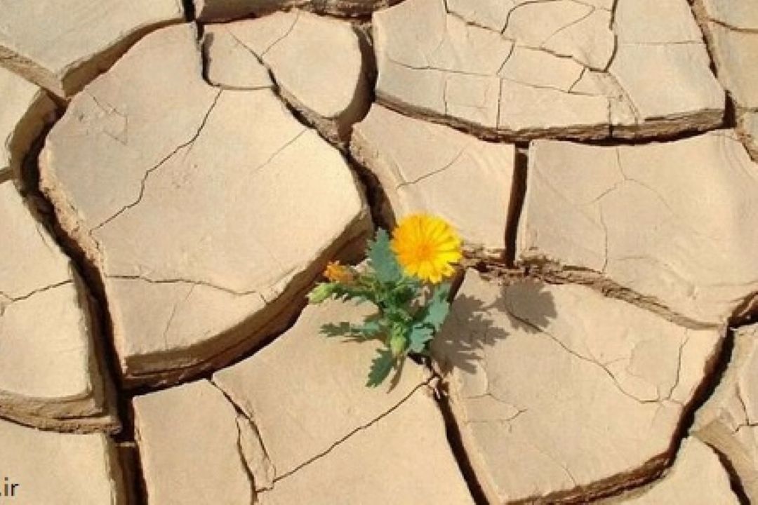 قطعه محلی با عنوان «من  كویرم»