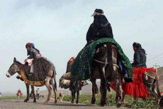 ترانه باران