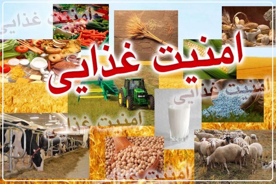 تنها با ارتقاء فناوری در حوزه كشاورزی؛ می‌توانیم امنیت غذایی را تامین كنیم+فایل صوتی 