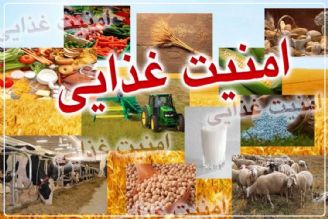 تنها با ارتقاء فناوری در حوزه كشاورزی؛ می‌توانیم امنیت غذایی را تامین كنیم+فایل صوتی 