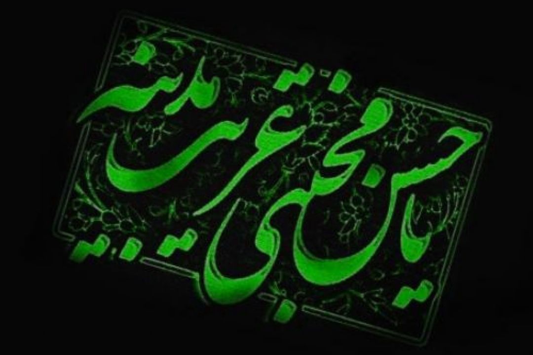 امام حسن مجتبی (ع)؛ «غریب مدینه »