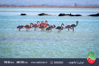 دولت در صدد است حقابه ایران را از افغاستان بگیرد 