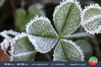 نوسانات دمایی باعث توقف رشد گیاه می شود