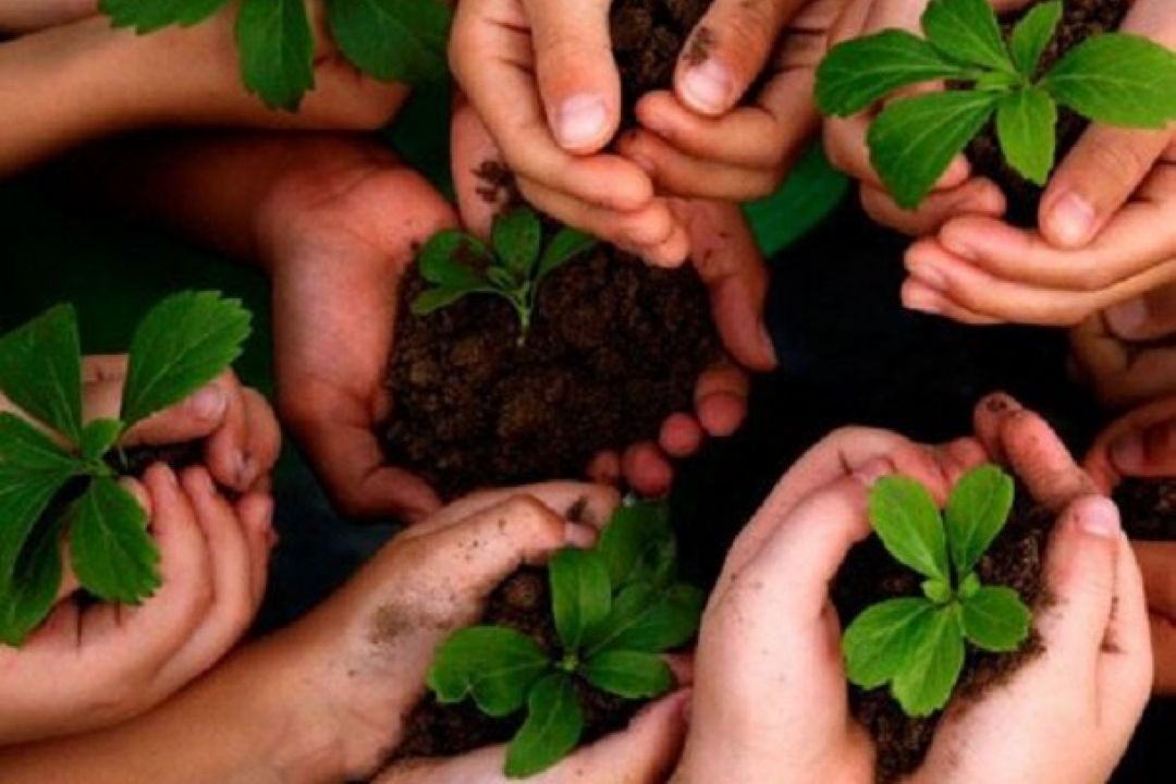 محیط زیست و منابع طبیعی برای «صبح صبا» مهم می شود