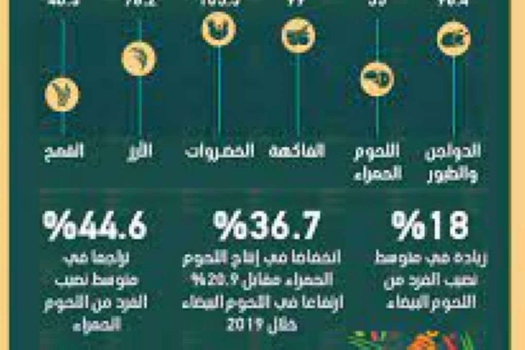 نشست امنیت غذایی در قاهره