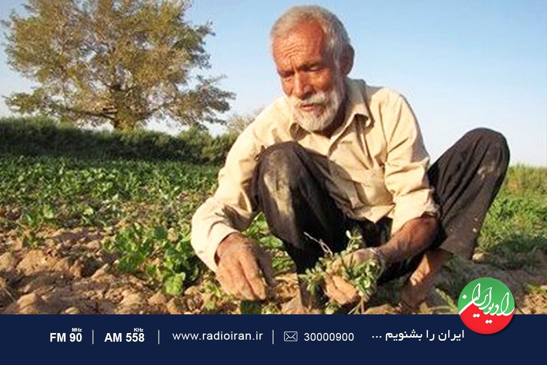 انسان موفق همواره به بازوی و توان خود تكیه می كند 