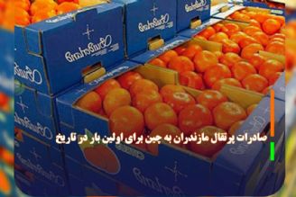 صادرات پرتقال مازندران به چین برای اولین بار در تاریخ