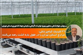 استان تهران؛ حوزه مناسبی برای سرمایه‌گذاری در كشت گلخانه‌ای است+فایل صوتی