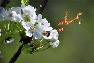 دكتر سالم الراجحی مهمان رادیو معارف 