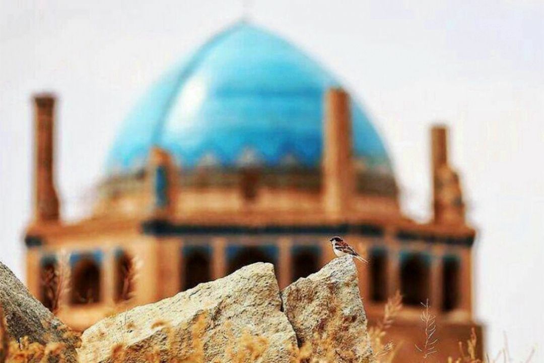 زنجان روی موج جوونی