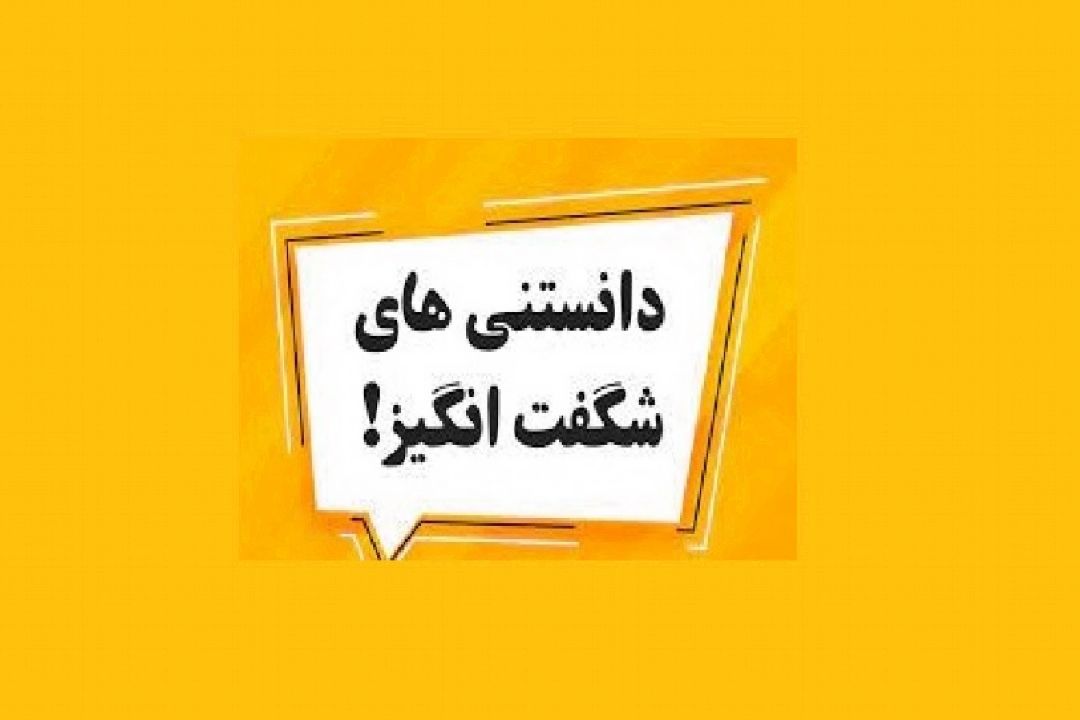 شهر فرنگ