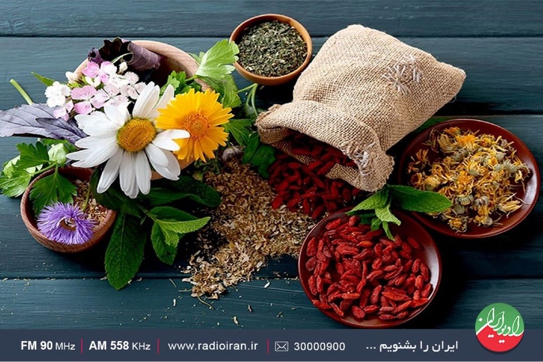 استان لرستان، مهد گیاهان دارویی است