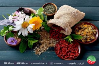 استان لرستان، مهد گیاهان دارویی است