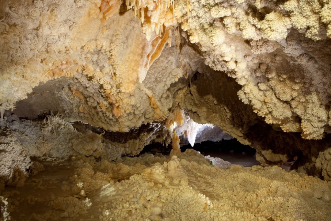 جوان گشت، دلیجان