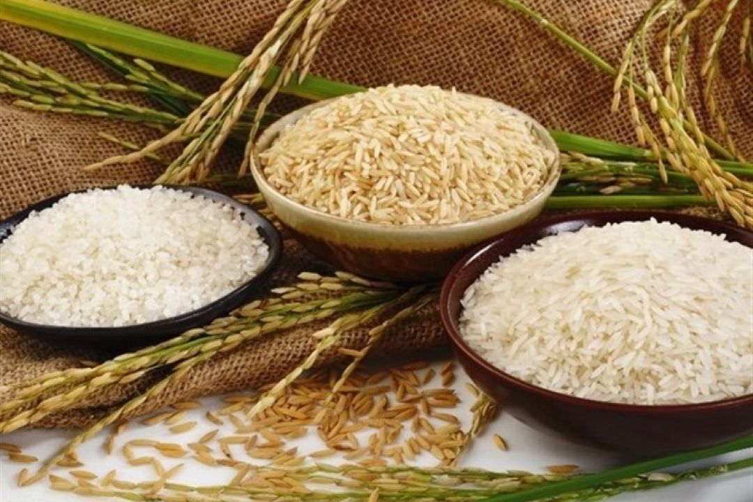 قیمت برنج و غلات «بی زحمت» دستمایه طنز  می شود