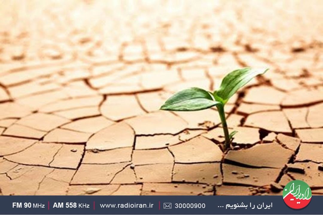 روزی به نام بیابان زدایی