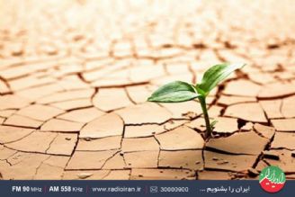 روزی به نام بیابان زدایی