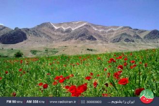 اندیكا منطقه ای در خوزستان با سابقه تاریخی 40 هزار ساله 