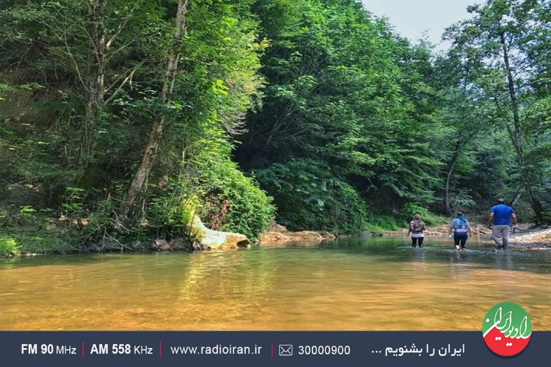 سفری به «سی پی» روستای در سواد كوه مازندران