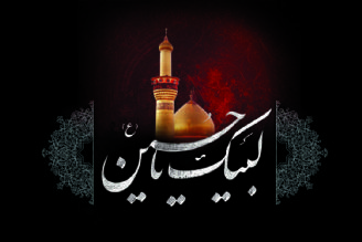  حسین؛ یك دل نه، صد دل عاشق نام شما شدم