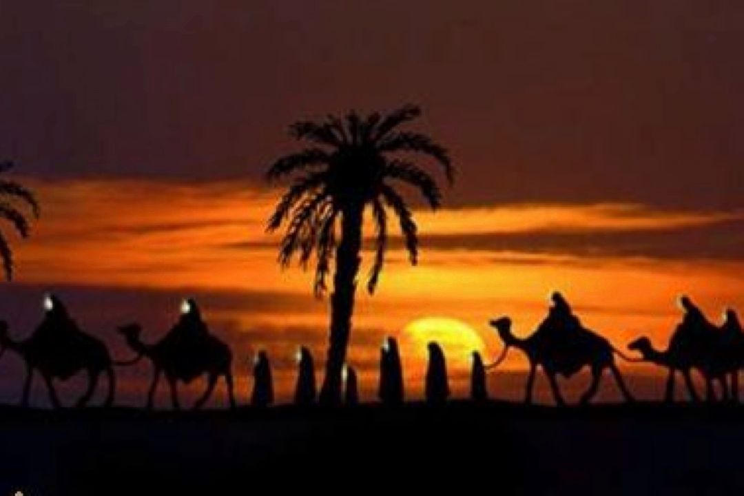 حسینی ام