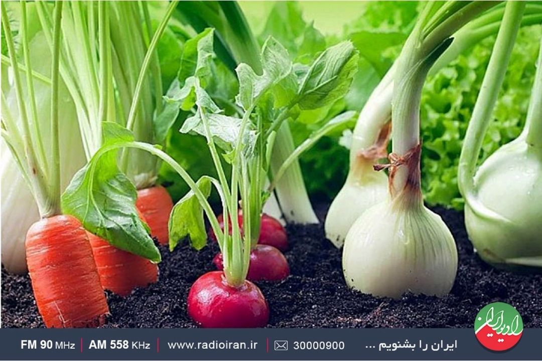 در خانه آپارتمانی چگونه سبزی بكاریم؟