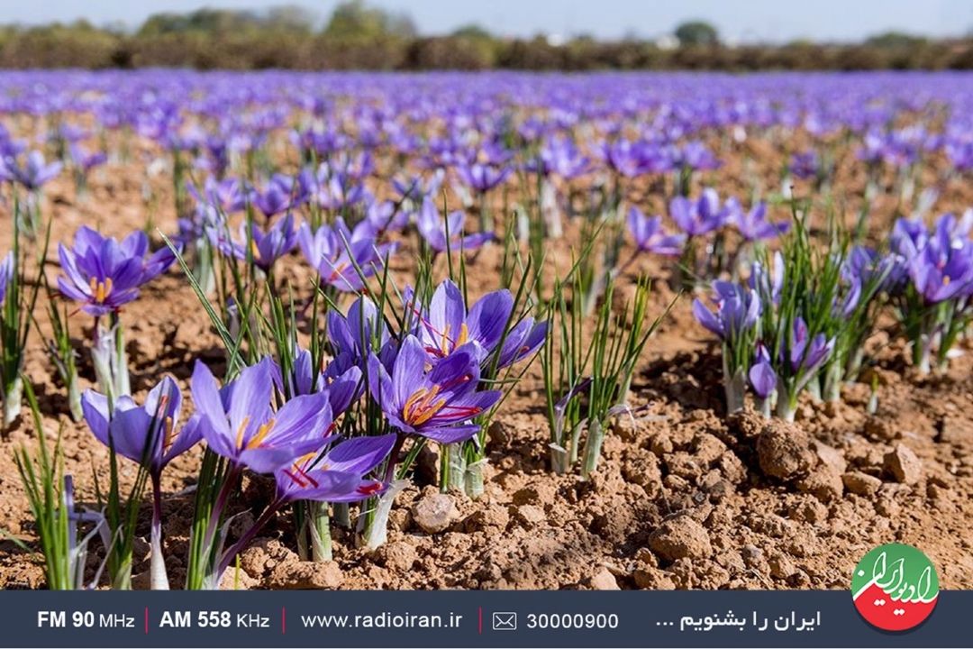 گزارش عباس سنجری در سفر به روستای همه‌سین