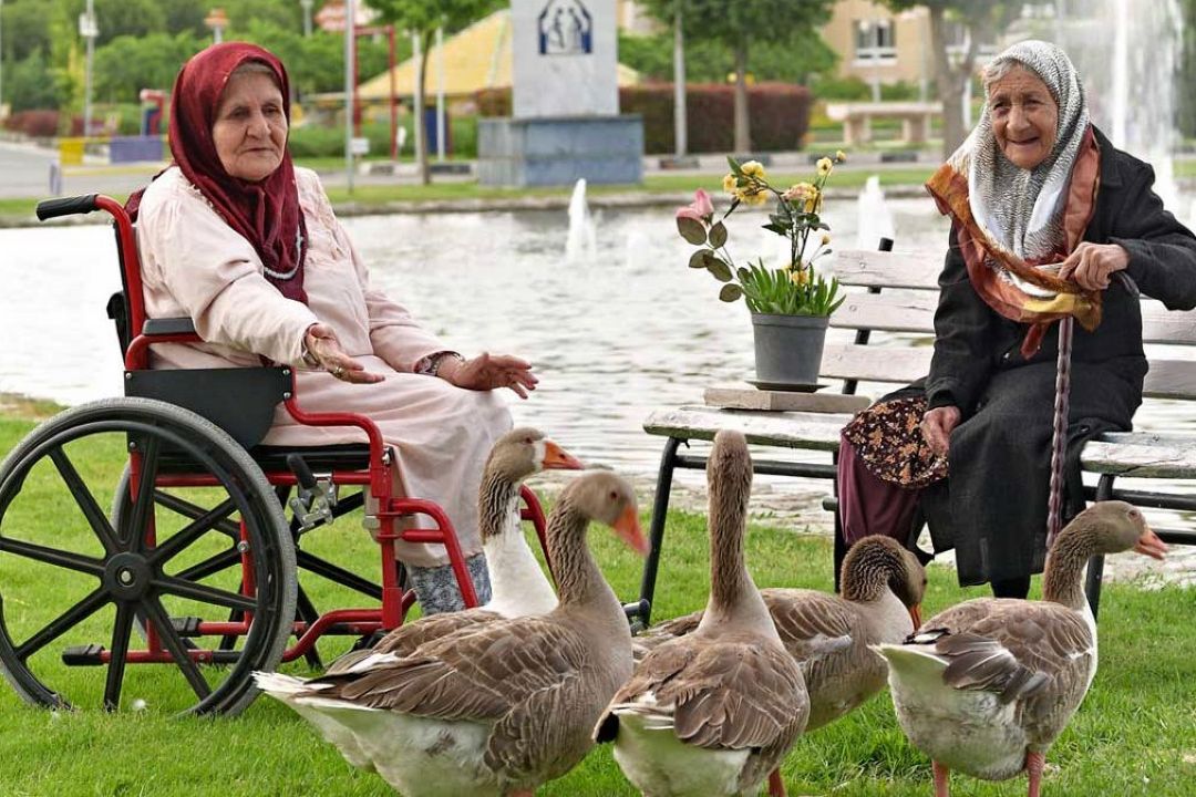 مدیر آسایشگاه كهریزك: روزانه هزار نیكوكار، كار نظافت و استحمام سالمندان و معلولان آسایشگاه را به عهده دارند